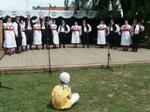 Jihočeský folklorní festival